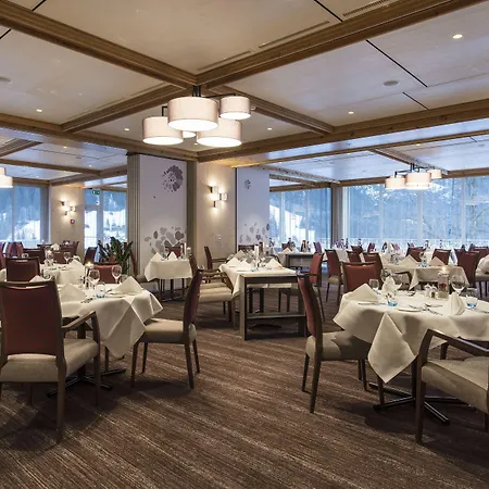 وسبا صن ستار غريندلفالد